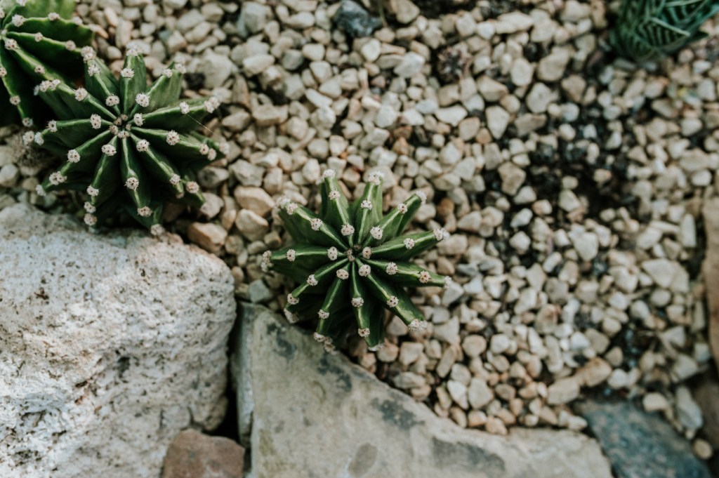 When love is right, there is no pebble. 