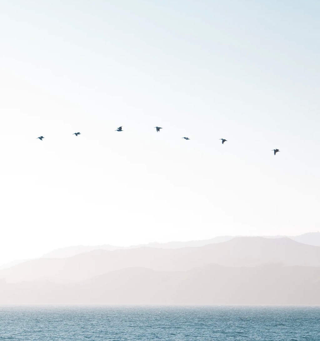 My Big Mouth and the trouble it&nbsp;brings.